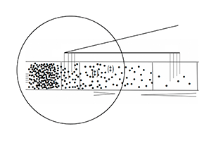 Partitura